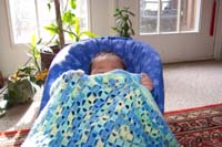 Peek-a-Boo!